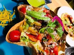 -Cactus墨西哥仙人掌餐厅