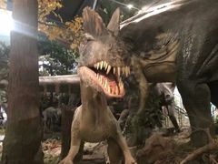 -湖南省地质博物馆