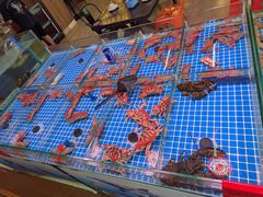 -巽寮印象美食部落餐厅·海鲜·地方特色菜(惠州体验店)