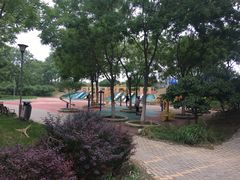 -大兴滨河森林公园