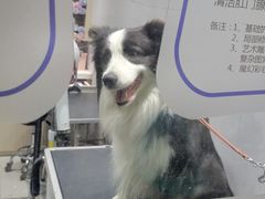 -宠颐生动物医院·小陆分院