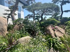 -罗红摄影艺术馆