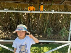 -西霞口神雕山野生动物世界