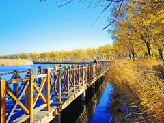 -野鸭湖国家湿地公园