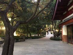 -曲江春晓苑