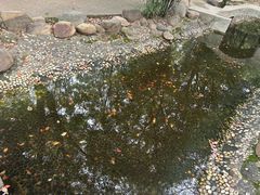 -武昌江滩