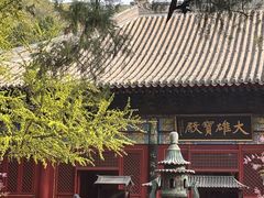 -红螺寺