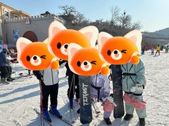 -蓟洲国际滑雪场