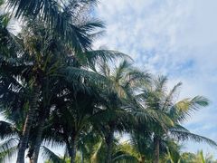 -深圳湾公园(南山区)