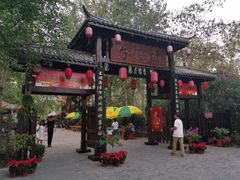 -合肥滨湖国家森林公园