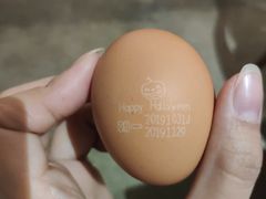 -八角锄烧·肉火锅(天河城店)
