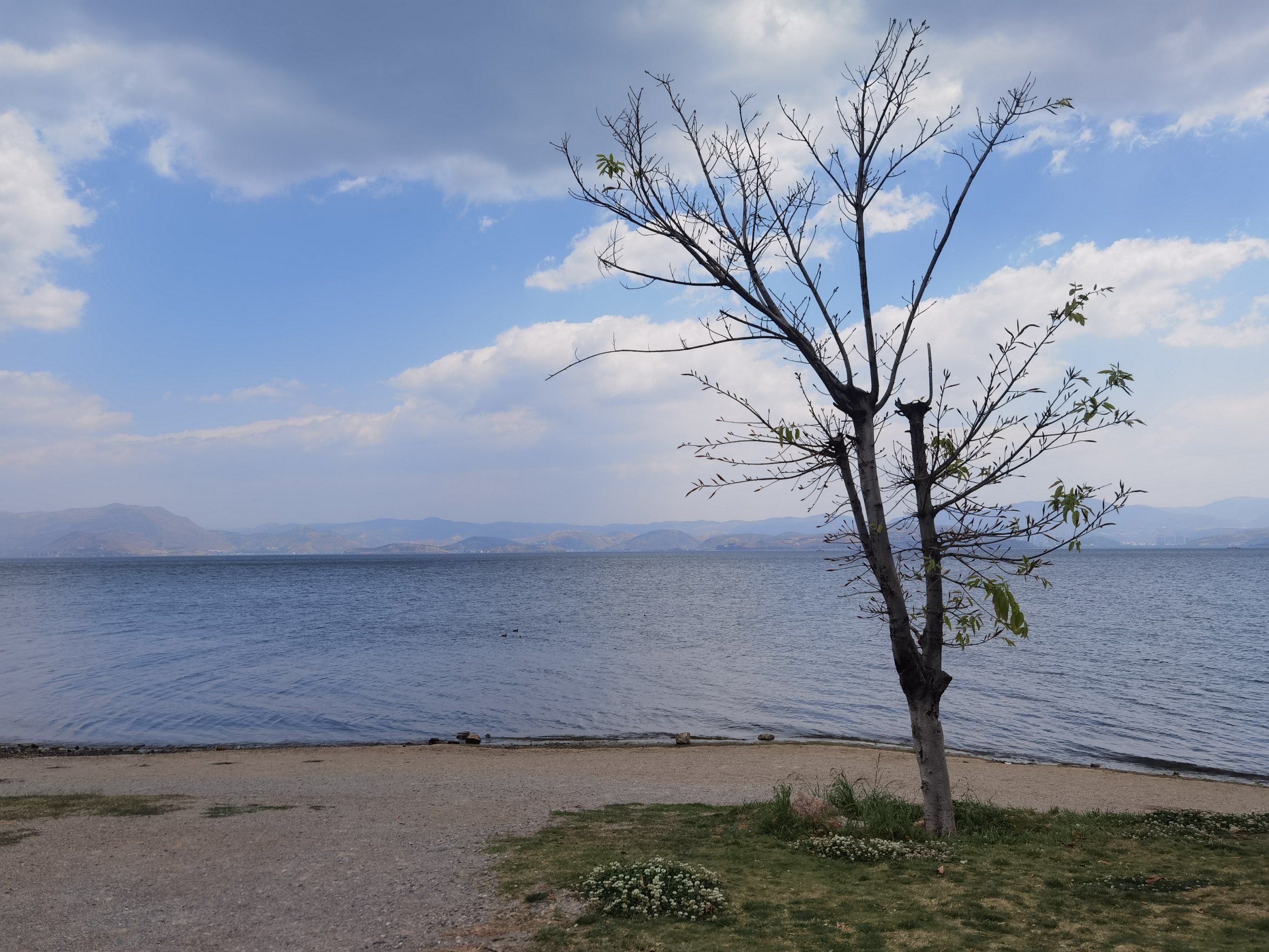 大理洱海生态长廊