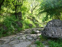 -北京鹫峰国家森林公园