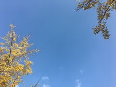 -四川大学(望江校区)