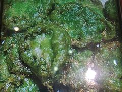 -小柴米·传统江西菜(万寿宫店)