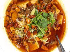 -新吉士·上海菜(浦东LCM置汇旭辉店)