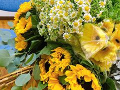 -诺亚雅思托福北郊中心(凤城路店)