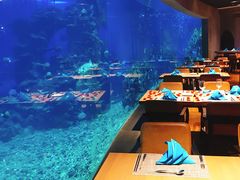 -海棠湾洲际-涛·海底餐厅·美人鱼·自助餐·海底隧道