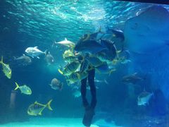-常州海昌海洋探索馆