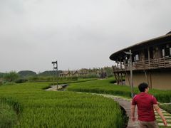 -乌村