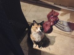 -卡本妮法餐厅·北京和平宾馆