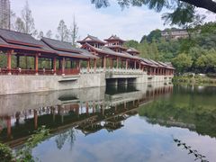-重庆彩云湖湿地公园