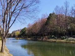-新江湾城公园