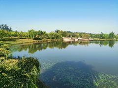 -东郊湿地公园