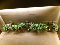 -泰馨玺·正宗泰式按摩SPA(石皮路店)