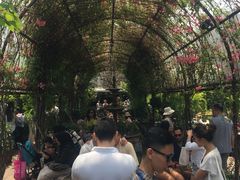 -The Grounds of Alexandria