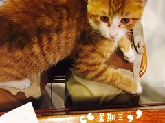 -情忆草原涮肉馆