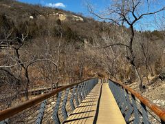 -白水寺森林公园