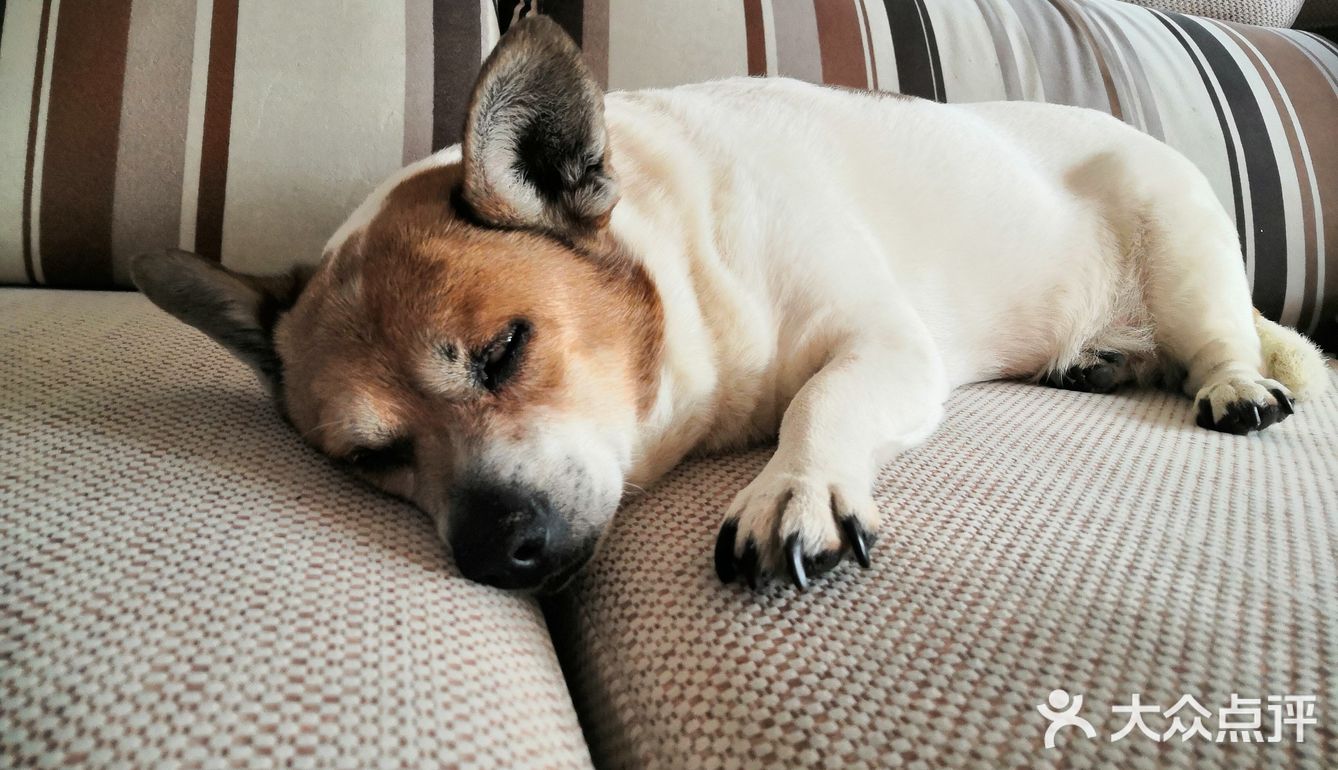 沙口舒服哈尔滨姑娘