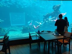 -涛·海底餐厅·美人鱼·自助餐·海底隧道(三亚海棠湾洲际度假酒店)