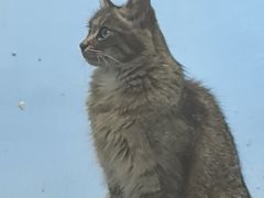 -青藏高原野生动物园