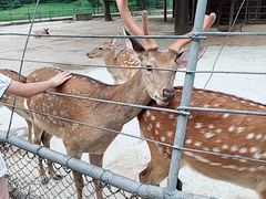 -祥源·阜阳生态乐园