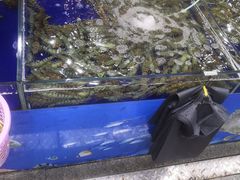 -东江海鲜酒家(艺都分店)