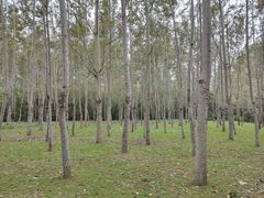 -秦皇岛野生动物园