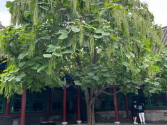 -张学良旧居陈列馆