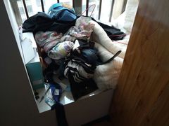 -圣爵菲斯大酒店(长沙世界之窗店)