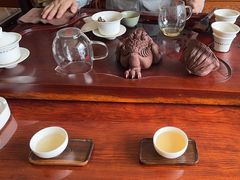 -七彩云南茶(七彩云南第壹城店)