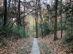 -杭州黄龙洞