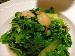 -雨后行菜(报慈北路店)