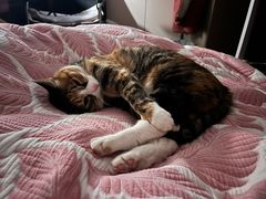 -新荟城(望京店)