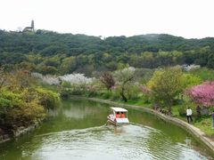 -苏州上方山国家森林公园