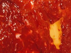 -映山红鲜货火锅(鱼嘴店)