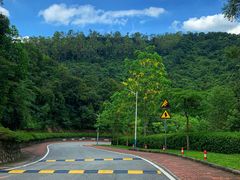 -火炉山森林公园