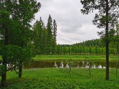 -黄海国家森林公园
