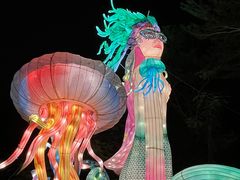 -亚龙湾国际玫瑰谷