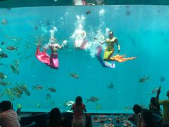 -瑞德姆美人鱼海底演艺主题餐厅(亚龙湾店)